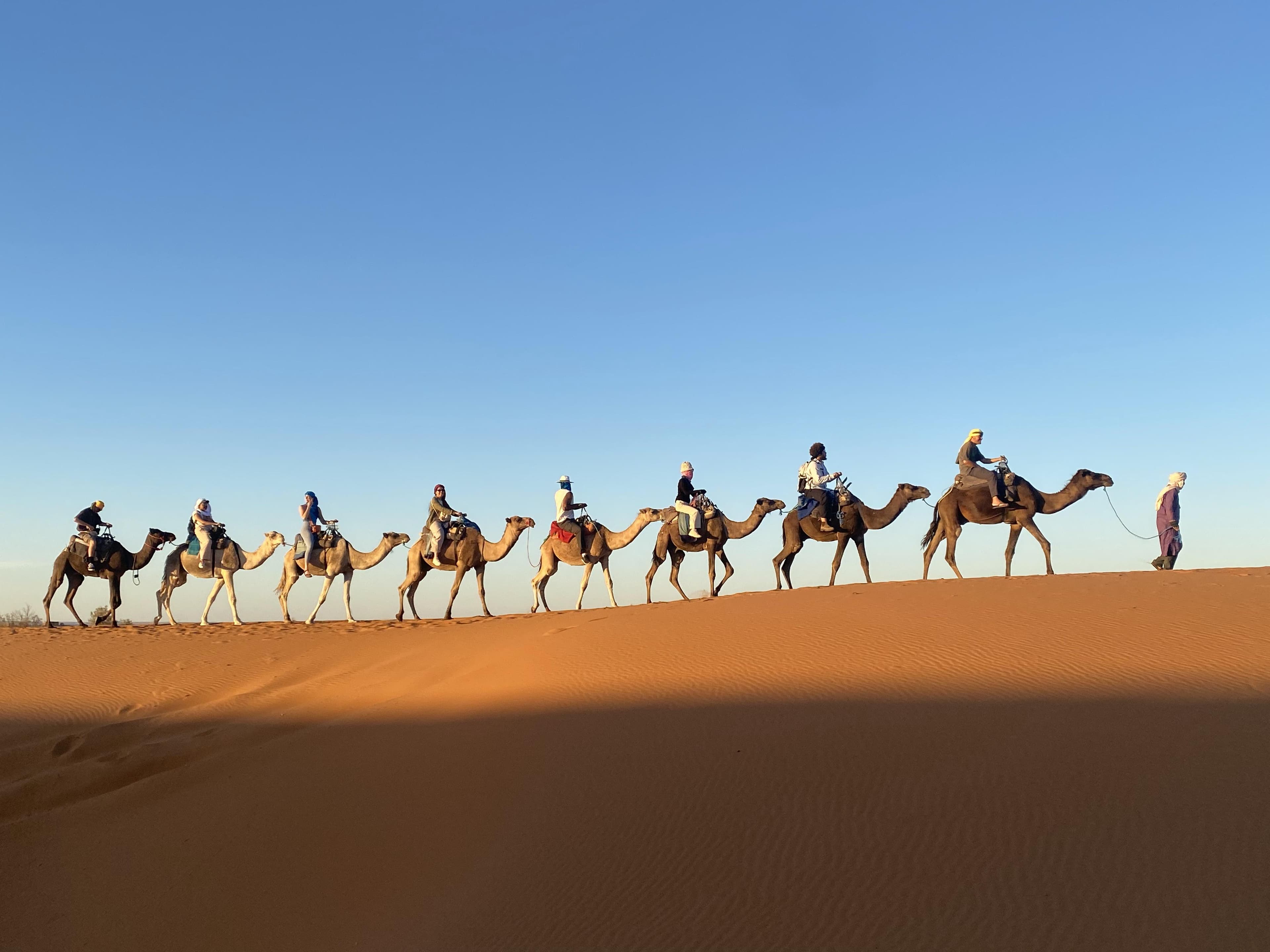 The Sahara